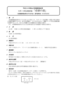 卓球（募集要領）(PDF文書)