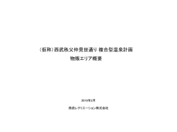 （仮称）西武秩父仲見世通り複合型温泉計画 物販エリア概要