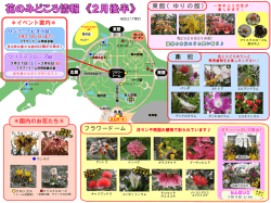 南 館 東館（ゆりの館） フラワードーム