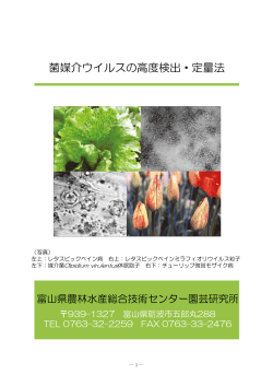 菌媒介ウイルスの高度検出・定量法 菌媒介ウイルスの高度検出・定量法