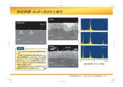 株式会社日東分析センター &copy;NITTO ANALYTICAL TECHNO