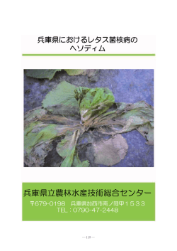 9. 兵庫県におけるレタス菌核病のヘソディム