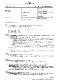 ブラックタイプを見る（PDF）