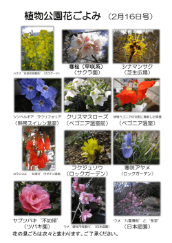 植物公園花ごよみ （2月16日号）