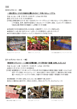 一度は見たい  ひたち海浜公園とわくわく！やきいもミュージアム 南信州