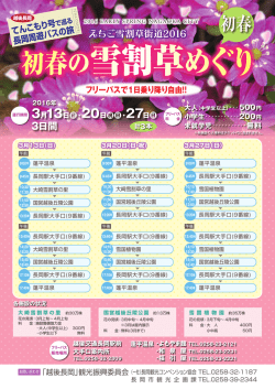 初春 - 長岡市