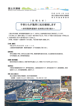子供たちが海岸に松を植樹します