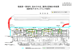 福島第一港湾内、放水口付近、護岸の詳細分析結果 （護岸