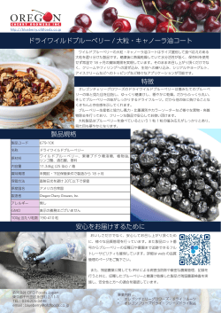 ドライワイルドブルーベリー・大粒 - OFD Foods Japan