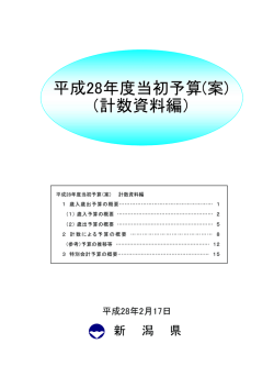 平成28年度当初予算(案)