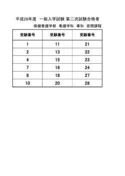 H28 面接区分 合格者