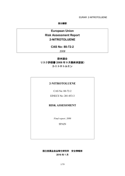 European Union Risk Assessment Report 2