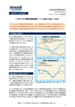 1 月の CPI（消費者物価指数）～リフレ政策の今後は？（日本）