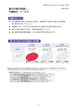 解説資料（PDF形式：315KB）