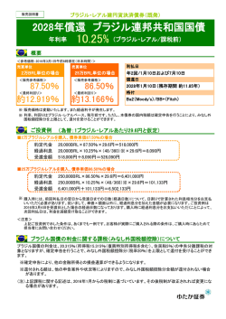 販売説明書 - 豊証券