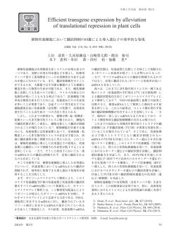 植物培養細胞において翻訳抑制の回避による導入遺伝子の効率的な発現