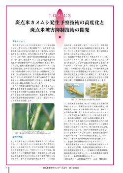 斑点米カメムシ発生予察技術の高度化と 斑点米被害抑制技術の開発