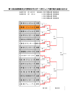 第12回兵庫県軟式少年野球日刊スポーツ杯ジュニア選手権大会