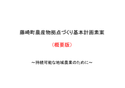 藤崎町農産物拠点づくり基本計画素案（概要版） [678KB pdfファイル]