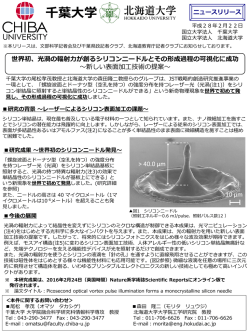 世界初、光渦の輻射力が創るシリコンニードルとその形成過程