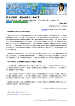 記事全文（PDF） - NPO法人 国際環境経済研究所｜International