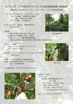 北アルプス・ブナの巨木クライミングと奥飛騨温泉郷・中尾温泉