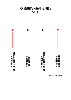 （交流試合）(PDF文書)