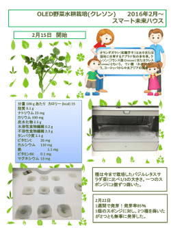 栽培日誌はこちらから