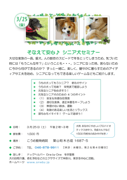 詳細はこちら - 老犬介護 ドッグヘルパー One by One