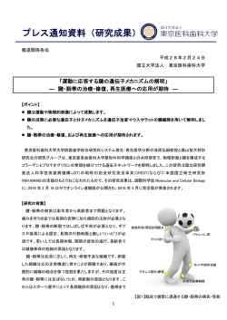 プレス通知資料（研究成果）