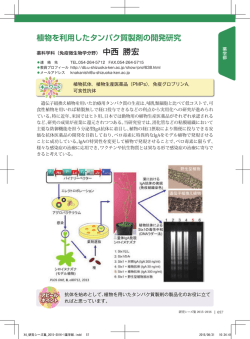 植物を利用したタンパク質製剤の開発研究