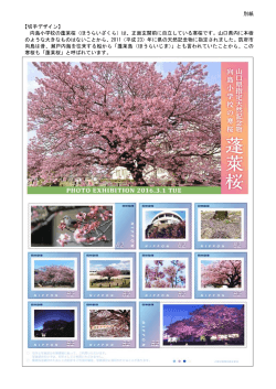 別紙 【切手デザイン】 向島小学校の蓬莱桜（ほうらいざくら）は、正面玄関