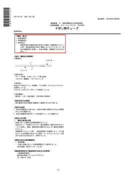PDFファイル