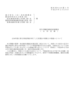 （平成28年2月26日保医発0226第1号）