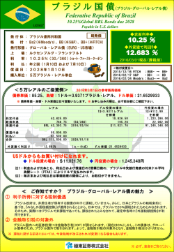 （ブラジル・グローバル･レアル債） [PDF:609KB]