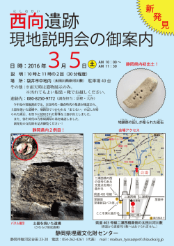 西向遺跡 - 静岡県埋蔵文化財センター