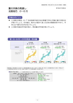 解説資料（PDF形式：320KB）