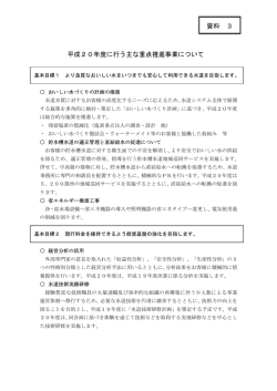 資料3 平成20年度に行う主な重点推進事業について（PDF：145KB）
