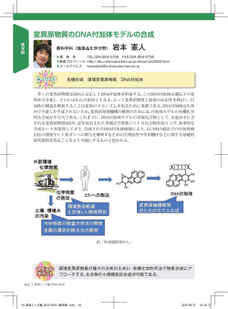 変異原物質のDNA付加体モデルの合成
