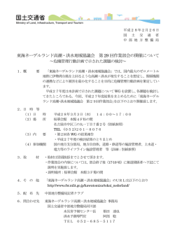 東海ネーデルランド高潮・洪水地域協議会 第29 回作業部会の開催