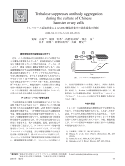 トレハロース添加培養によるCHO細胞培養中の抗体凝集の抑制