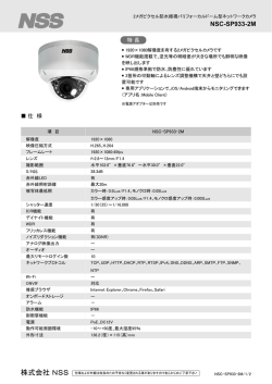 株式会社 NSS