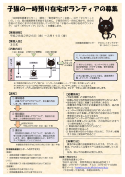 募集チラシ(PDF形式, 312.80KB)