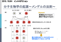 分子生物学Ⅰ ～イントロダクション