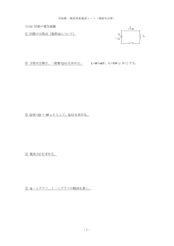 電磁気現象演習問題