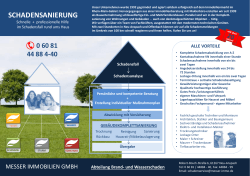 schadensanierung - Messer Immobilien GmbH