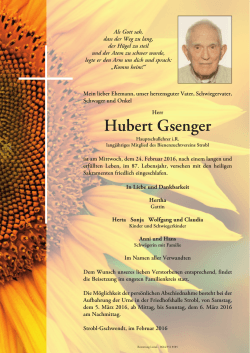 Hubert Gsenger - Bestattung Lesiak