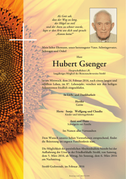 Hubert Gsenger - Bestattung Lesiak