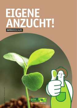 INFOBROSCH&uuml;RE