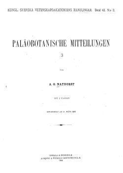 palaobotanische mitteilungen